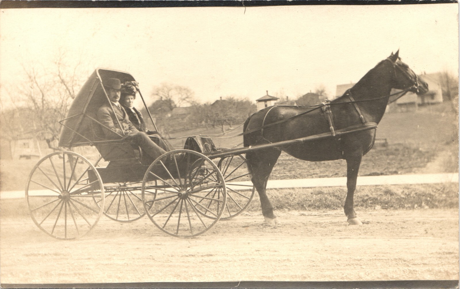 MARRIED COUPLE IN HORSE & BUGGY original real photo postcard ANTIQUE RPPC c1910