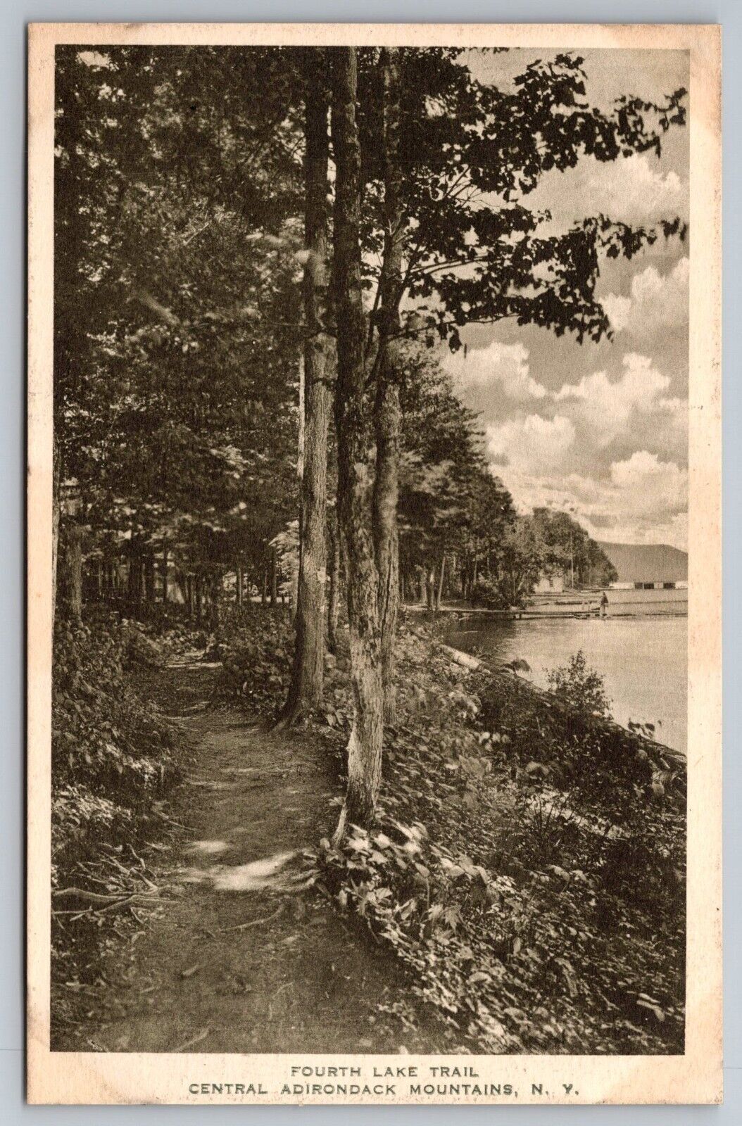 Fourth Lake Trail. Adirondacks NY Vintage Postcard