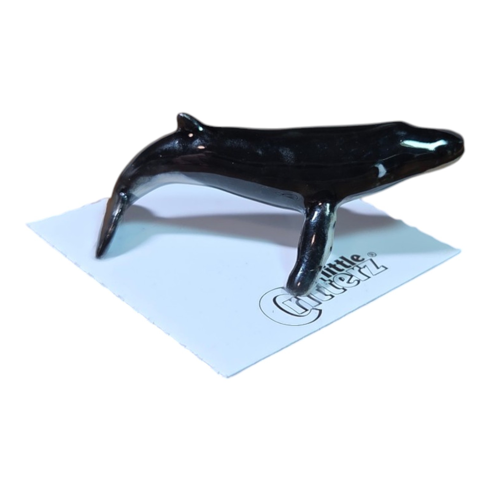 LITTLE CRITTERZ Humpback Whale \