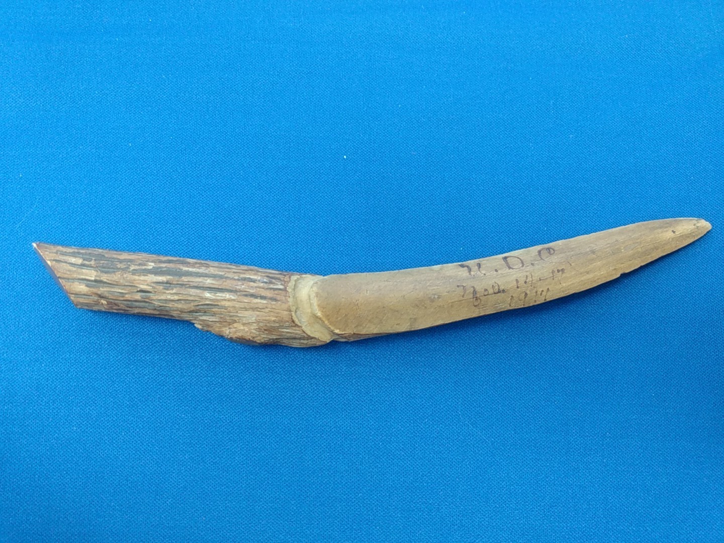 United Daughters Of The Confederacy Antique Hand Carved Wood Knife Nov 1914 UDC