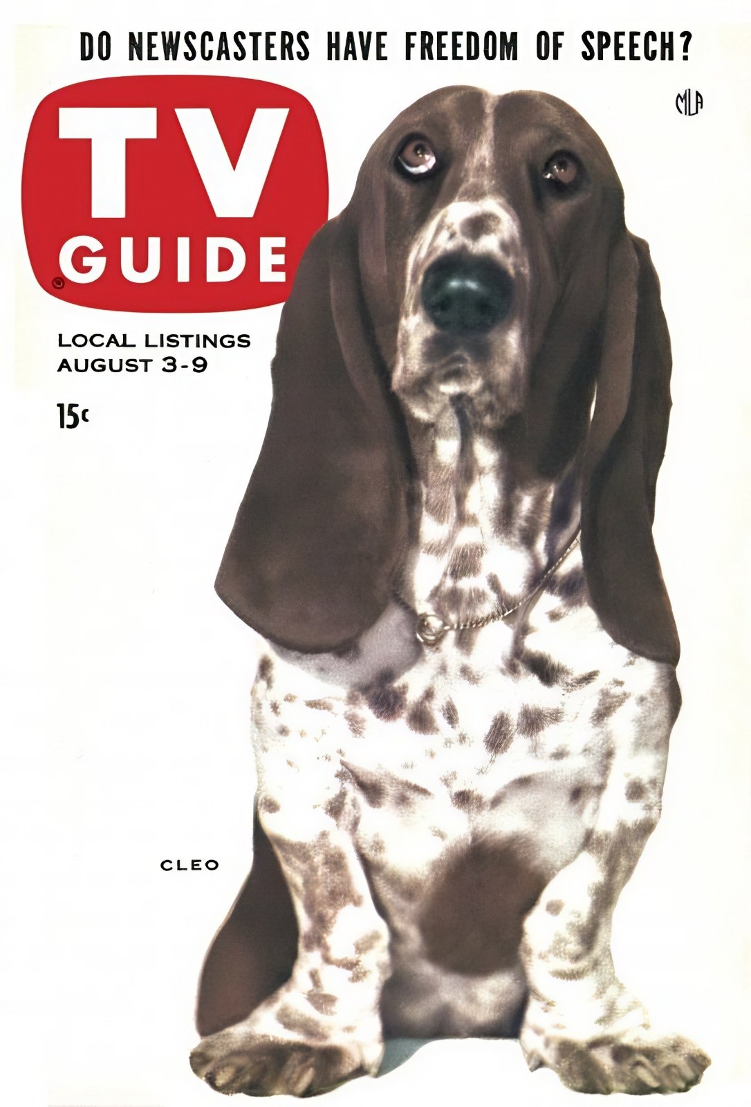 CLEO the Basset Hound - 1957 TV Show - Magazine Cover - 5 x 7 inch Photo