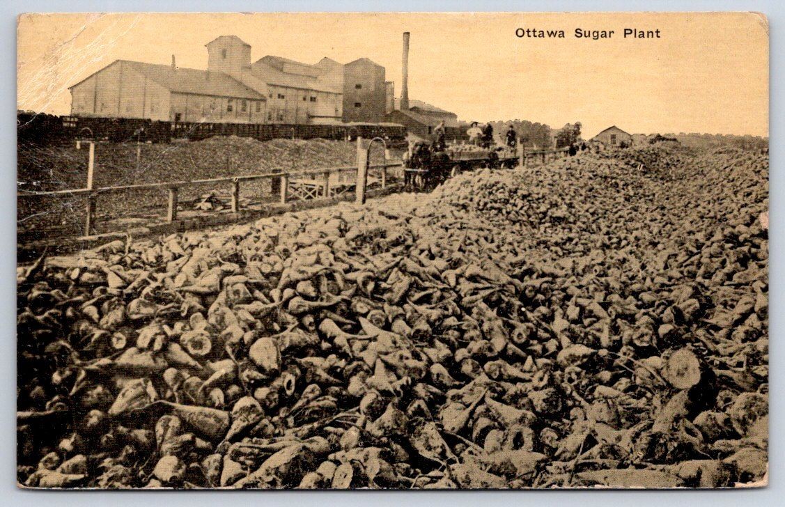 Antique Ohio Postcard OTTAWA Sugar Plant Beets 1914