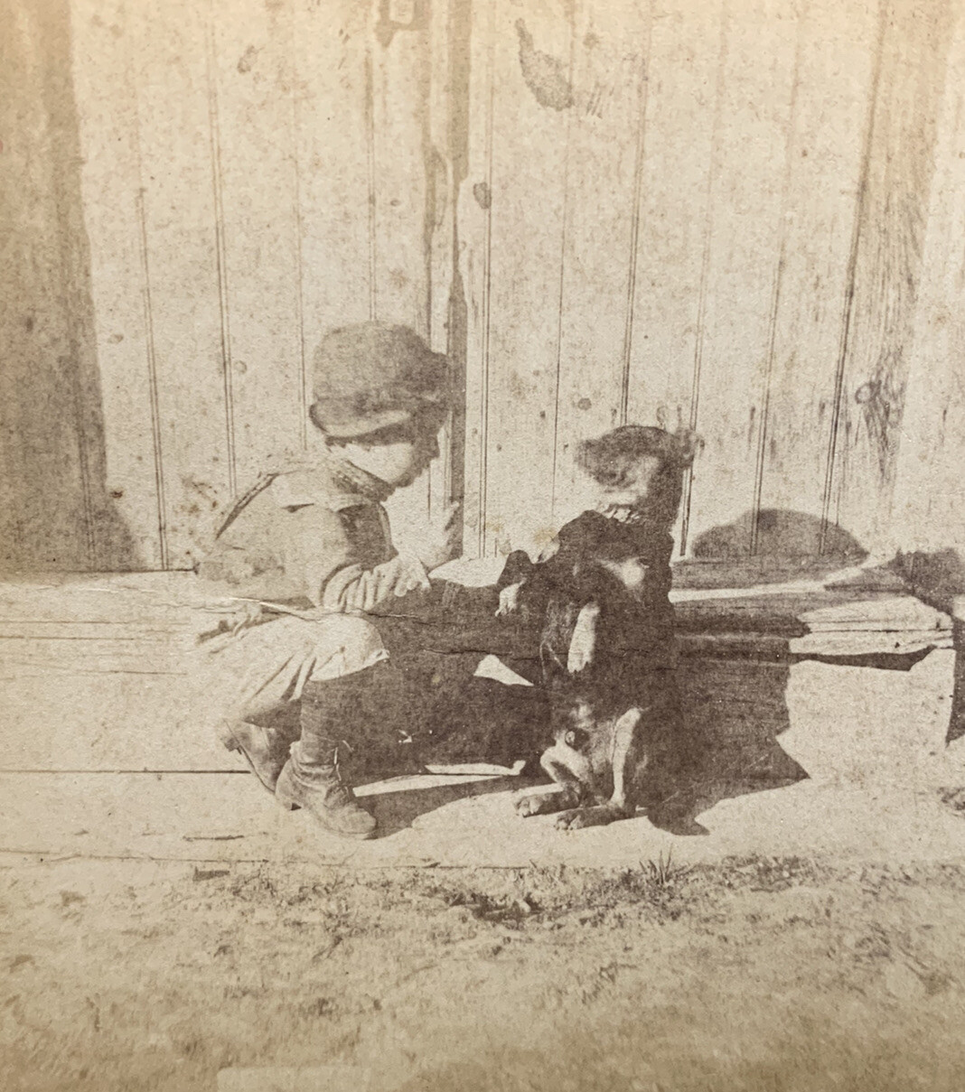 Young Boy Training His Dog ~ Antique Old Photo Stereoview ~ Union View Co.