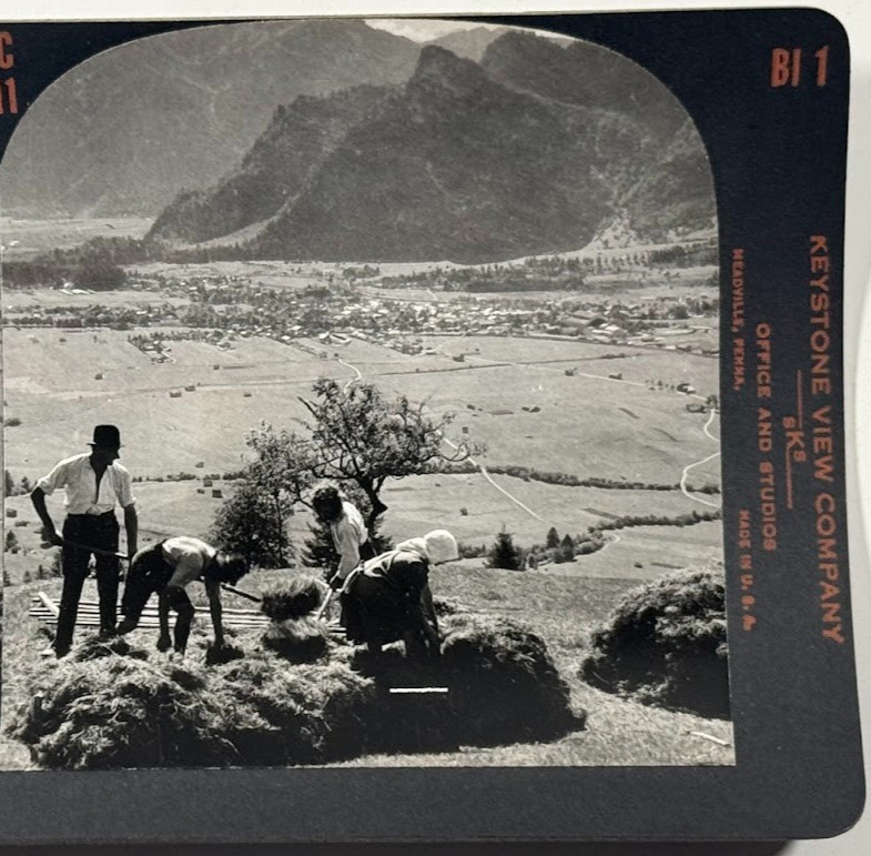 Arranging Hay on Wire Sledge, Bavarian Hayfields Looking Oberammergau Stereoview