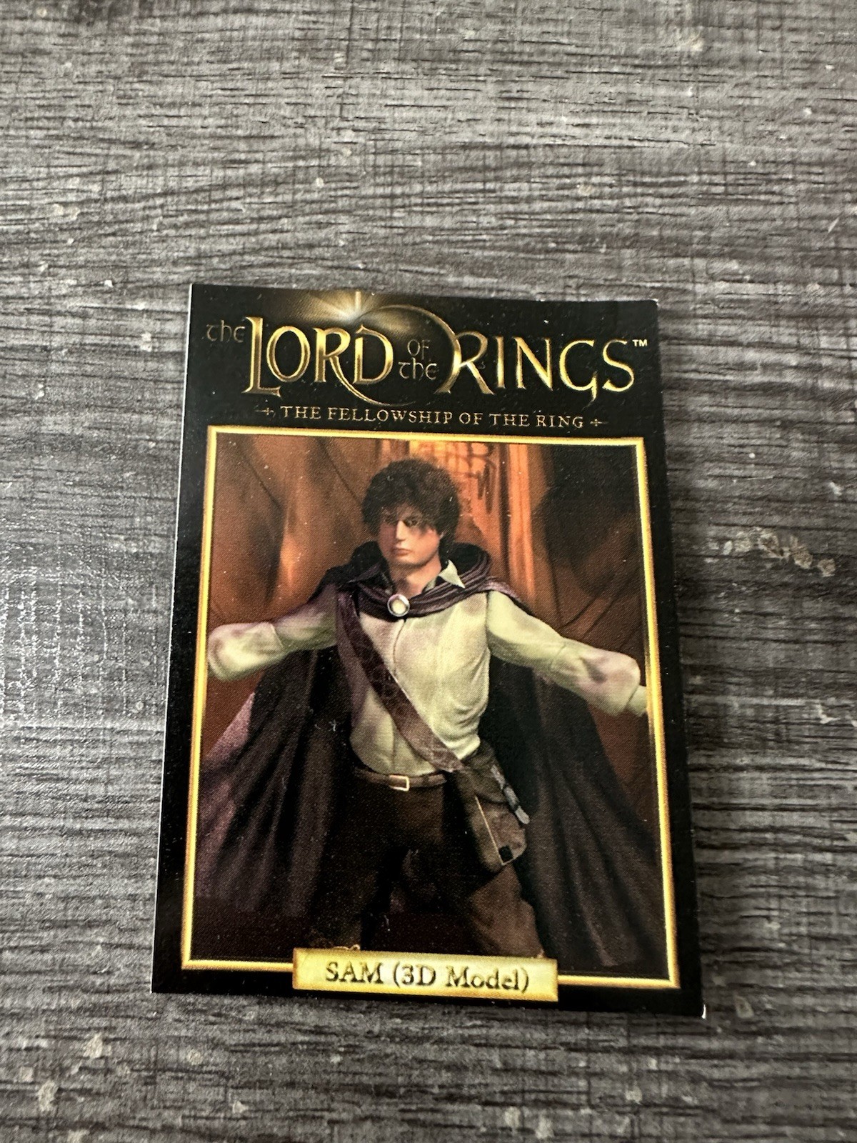 Black Water LOTR Fellowship Samwise Gamgee 3D Model Trading Card