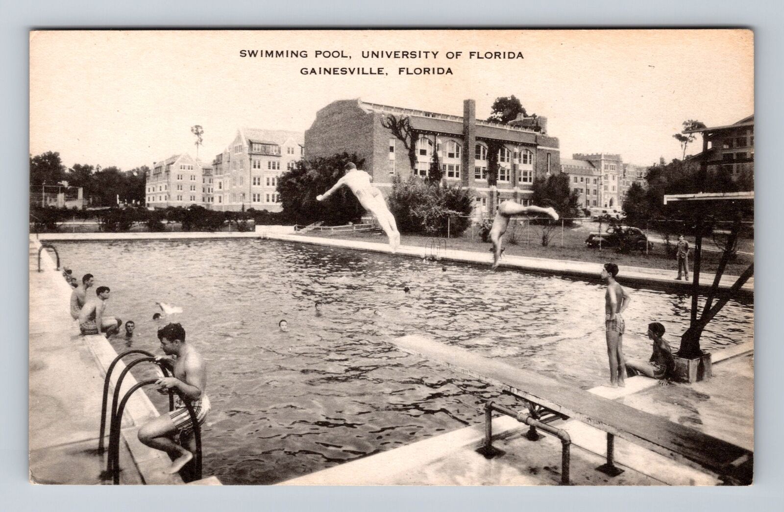 Gainesville FL-Florida, University of Florida Swimming Pool Vintage Postcard