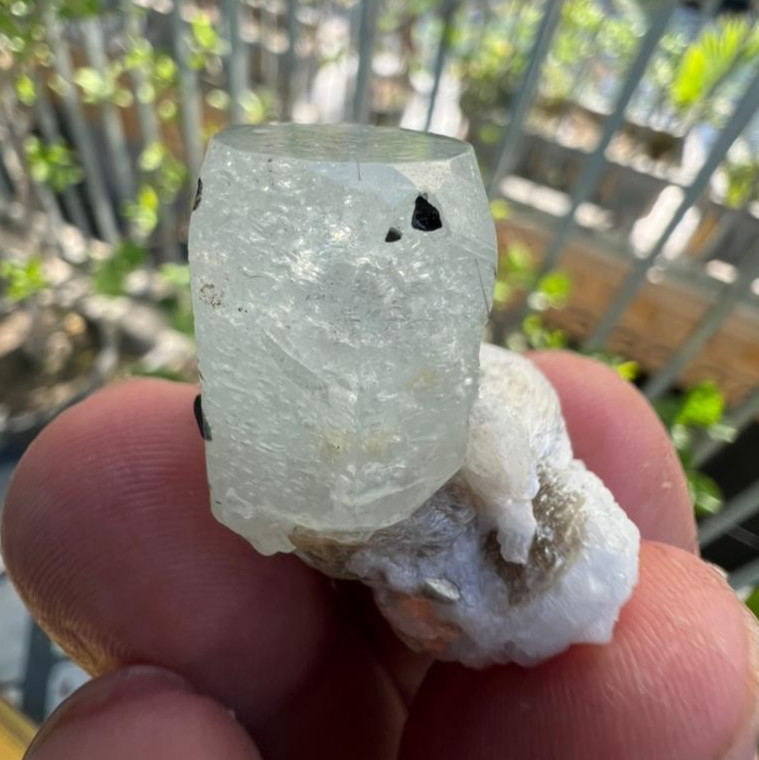 82ct | Unique Aquamarine & Green-Cap Tourmaline Crystal Specimen | Skardu, Pak@.
