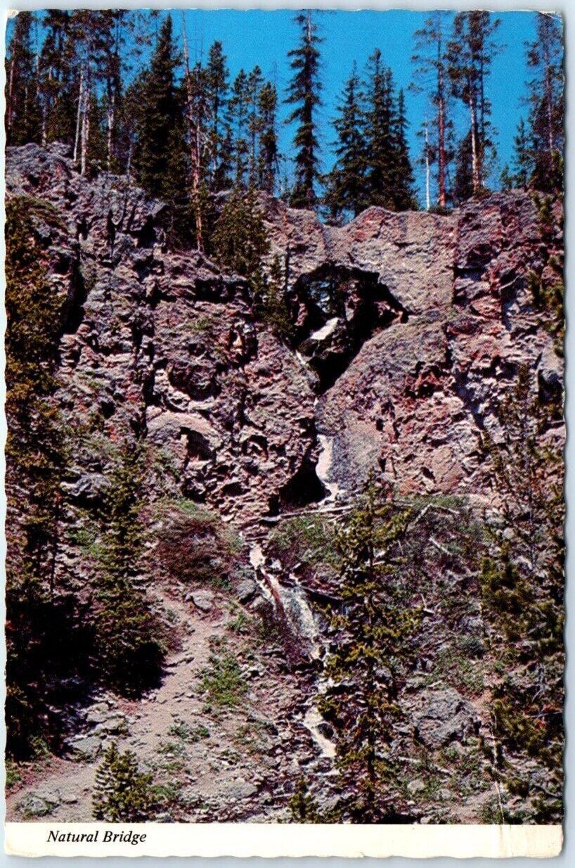 Postcard - Natural Bridge in Yellowstone National Park - Wyoming