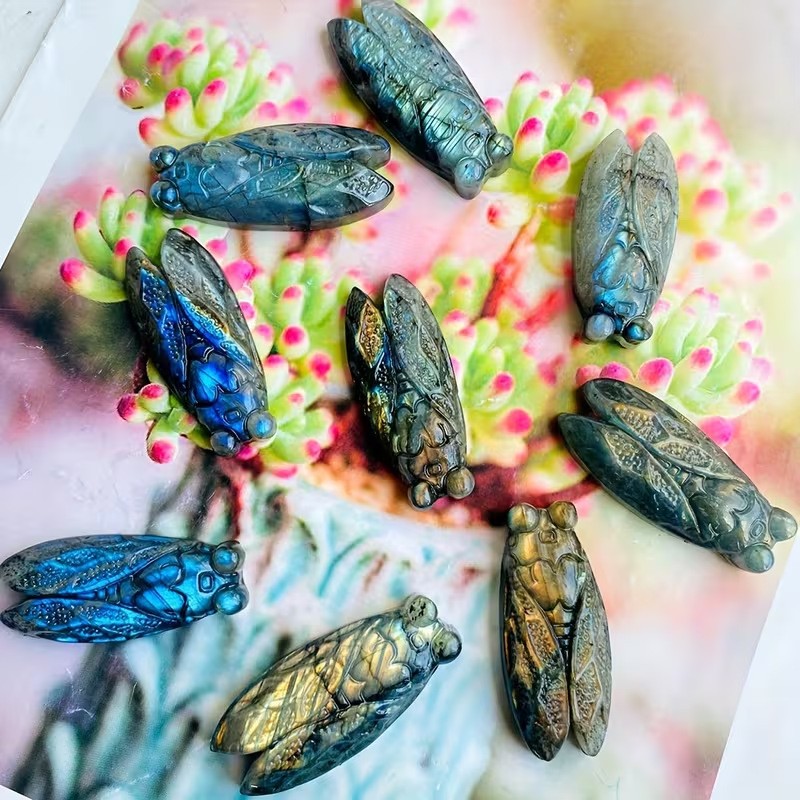 Hand Carved Labradorite Cicada Figurine Transformation Stone Pocket Decor