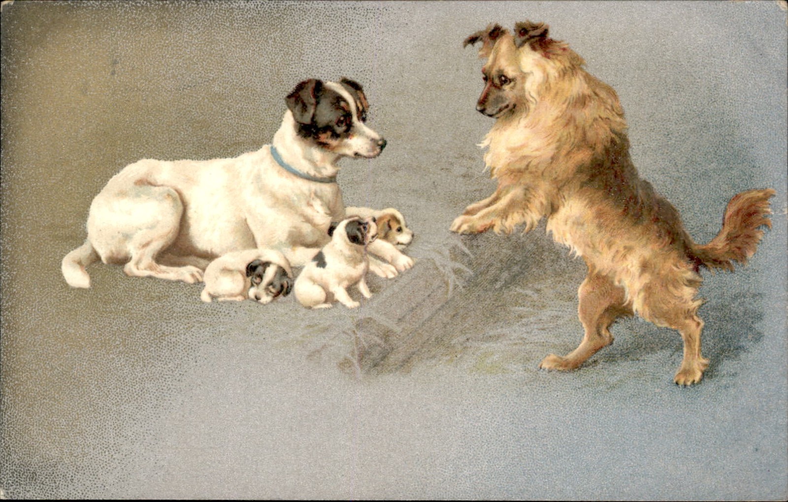 Playful Dogs with Tiny Puppies Dogs and Puppies c1900s-10s Vintage Postcard