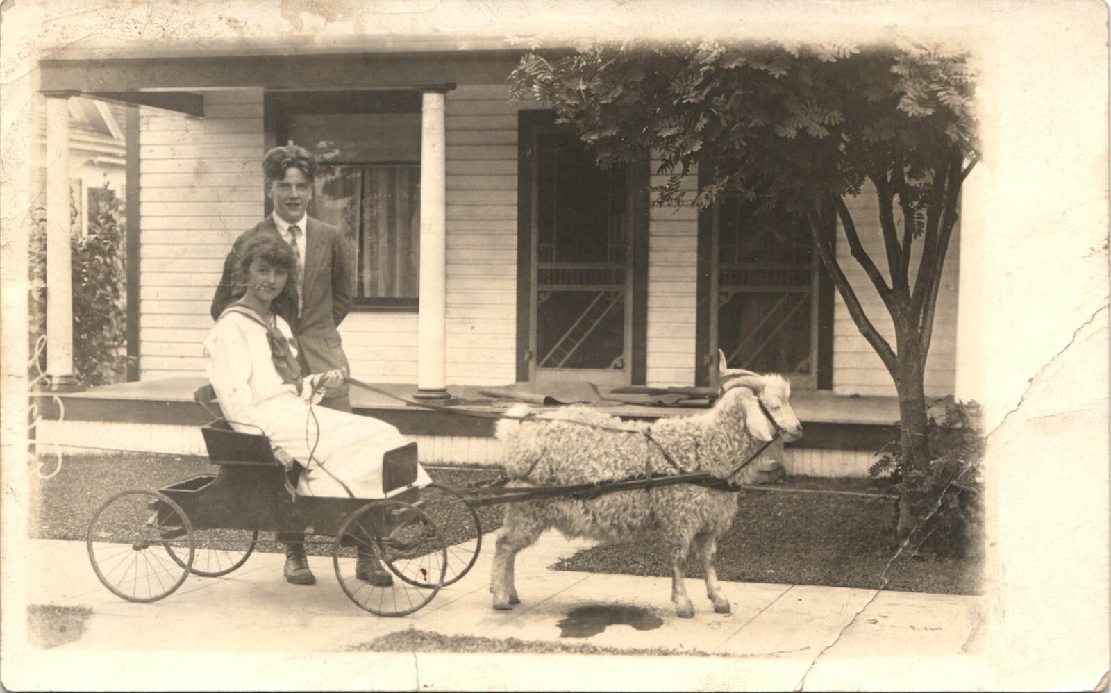 SAILOR GIRL IN SHEEP-CARRIAGE real photo postcard FUNNY c1910 RPPC SAILOR GIRL IN SHEEP-CARRIAGE real photo postcard FUNNY c1910 RPPC