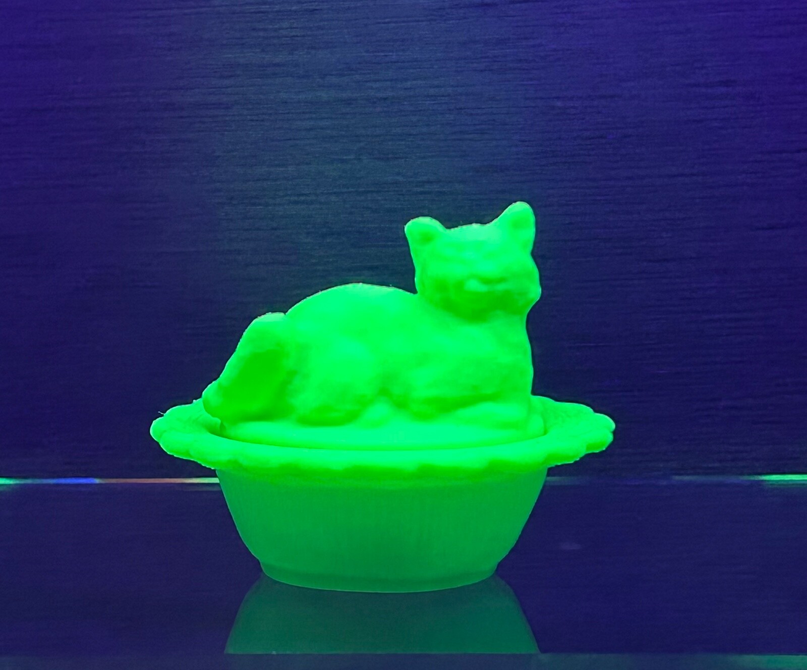 UV Glow Friends | Cathy the Cat on Nest | UV Glow Cabinet Salt Cellar