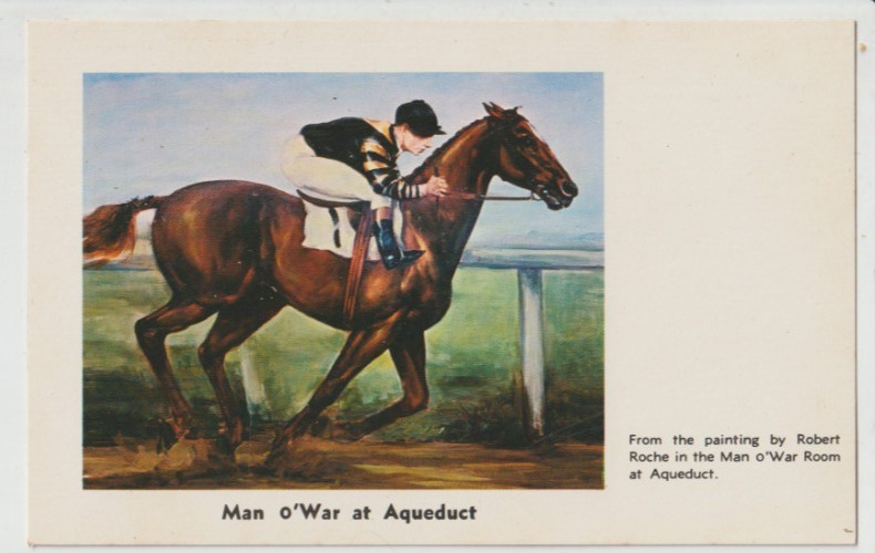 MAN O WAR Thoroughbred Horse Roche Artist Postcard LONG ISLAND NEW YORK