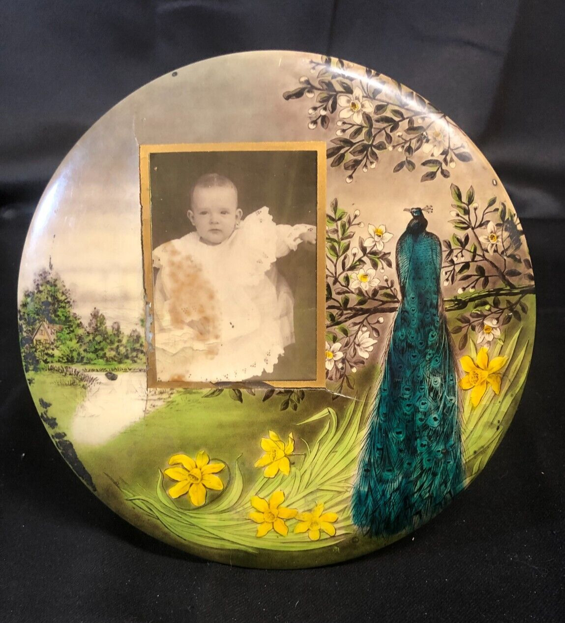 Antique Image of Baby Photo in Tin Floral & Peacock Plaque, Wall or Tabletop