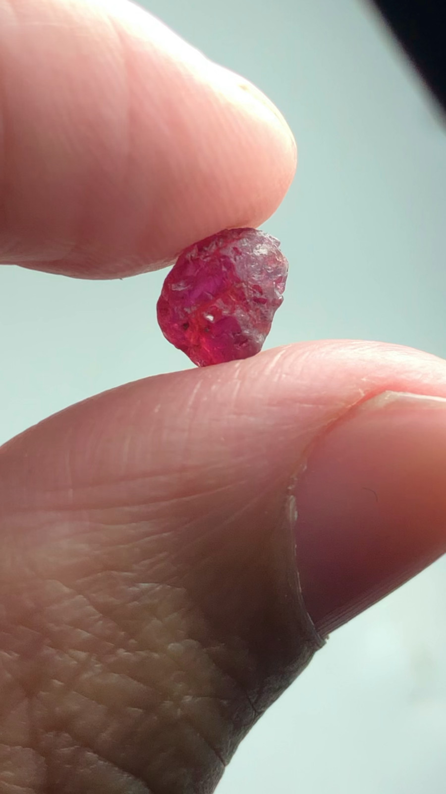 16Carat Mindblowing Rough Mozambique Ruby Natural Unheated Facet Grade Quality M