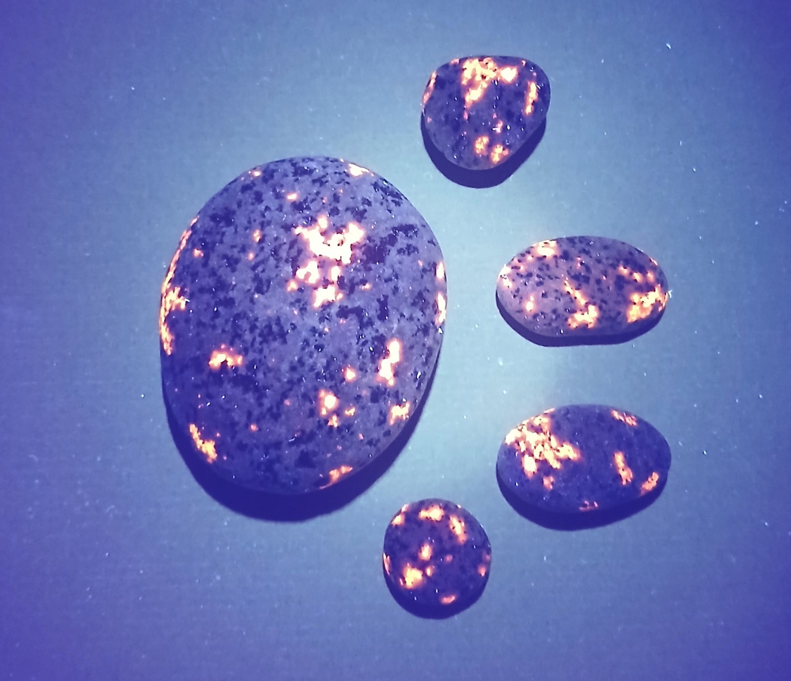 Yooperlite A Set Of 5 Bright Lake Superior Fluorescent Sodalite.   2.3 oz Total 
