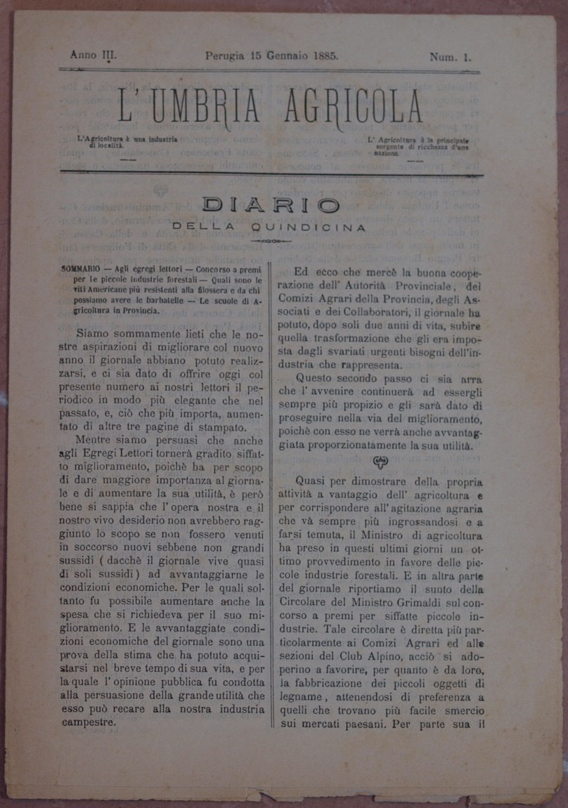 L'Umbria Agricola 15 January 1885 Vis American Filossera Umbria Agriculture L'Umbria Agricola 15 January 1885 Vis American Filossera Umbria Agriculture