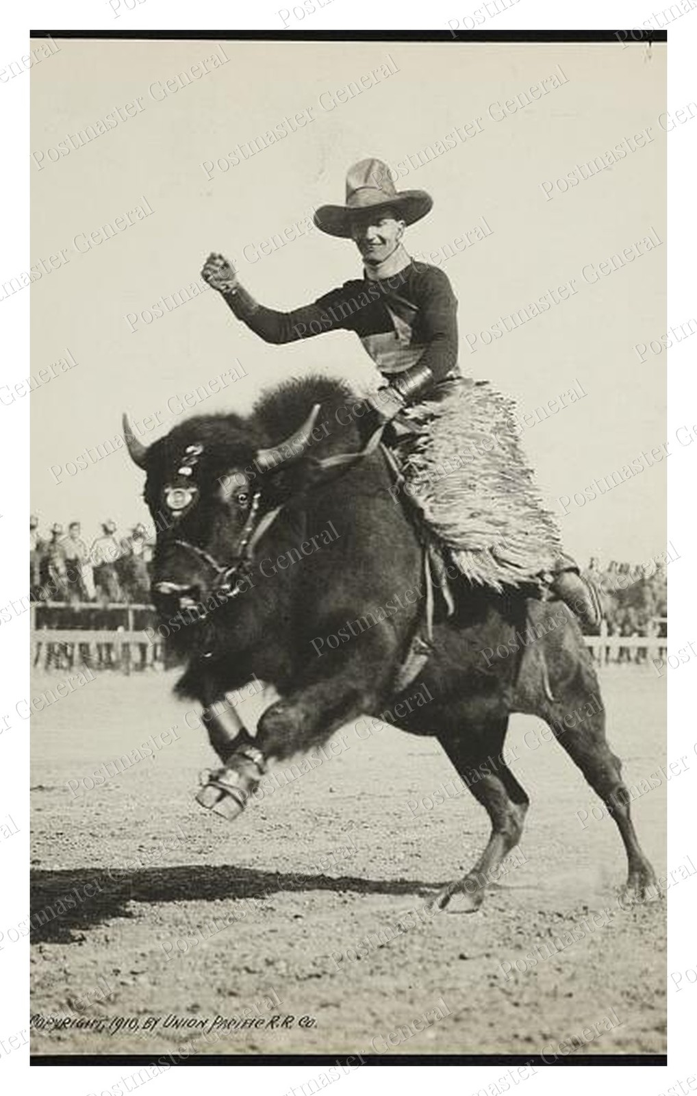 Cheyenne Wyoming Bucking Buffalo Standard Postcard COPY RPPC