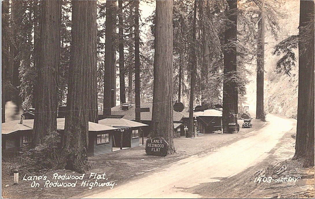 RPPC Redwood Highway CA Lane's Redwood Flat Cabins Roadside Motel 1930s