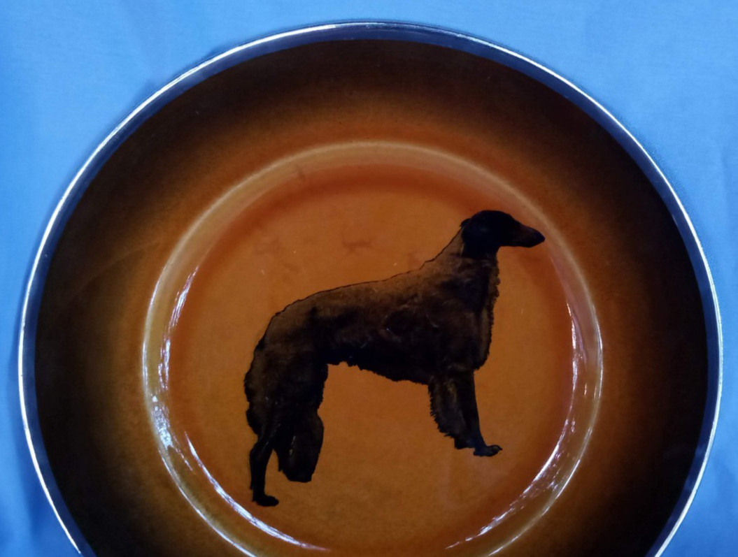 BORZOI DOG PLATE RIDGWAY ENGLAND SILVER TRIM 9 BORZOI DOG PLATE RIDGWAY ENGLAND SILVER TRIM 9