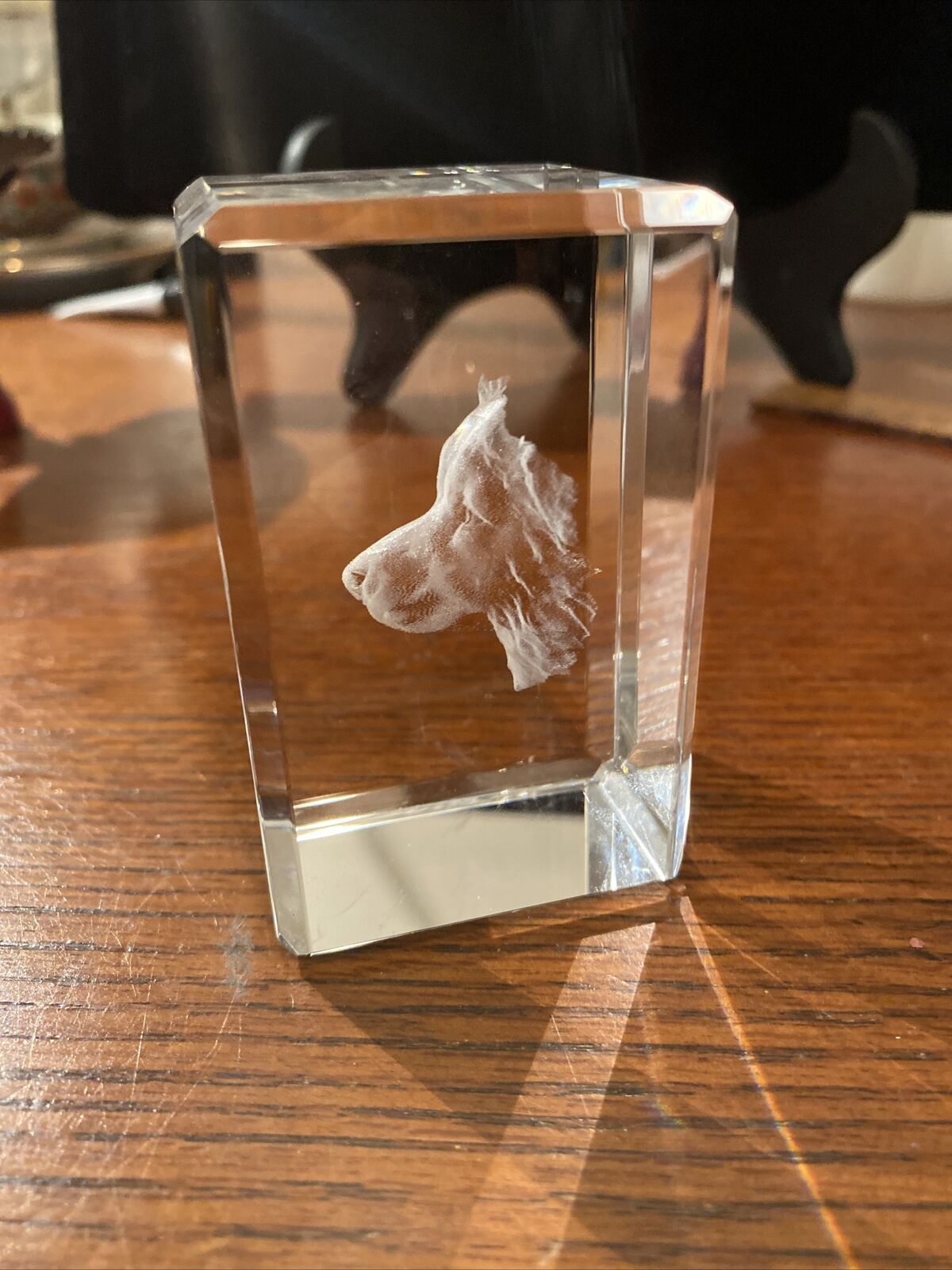 3D Laser Etched Crystal Paperweight Golden Retriever Dog