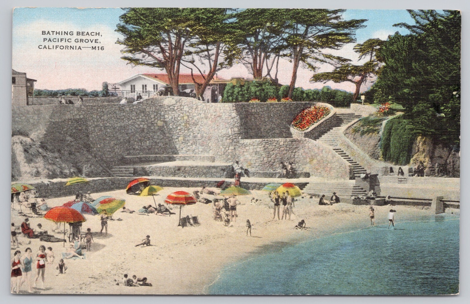 Pacific Grove California, Bathing Beach Sunbathers, Vintage Postcard