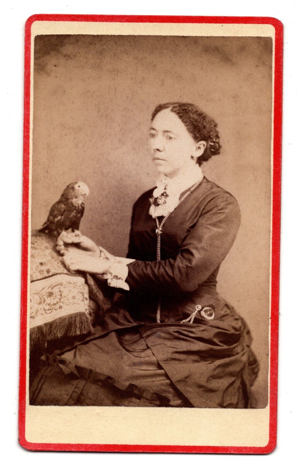 ANTIQUE CDV C. 1870s D. BRENNER GORGEOUS YOUNG LADY HOLDING PARROT BUCYRUS OHIO