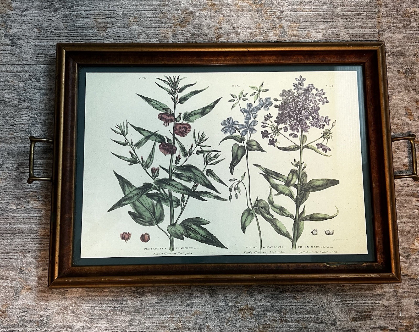 Vintage Botanical Floral Serving Tray Framed Print Brass Handles Cottage Decor