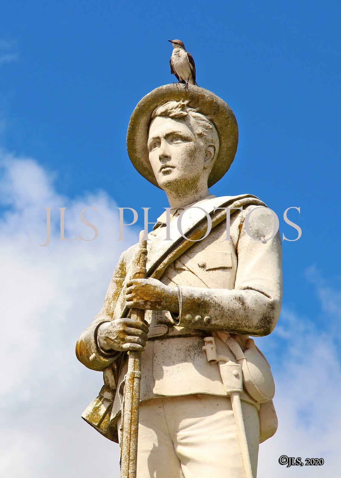 Texas - Marshall Confederate Monument H (5x7 Photo)