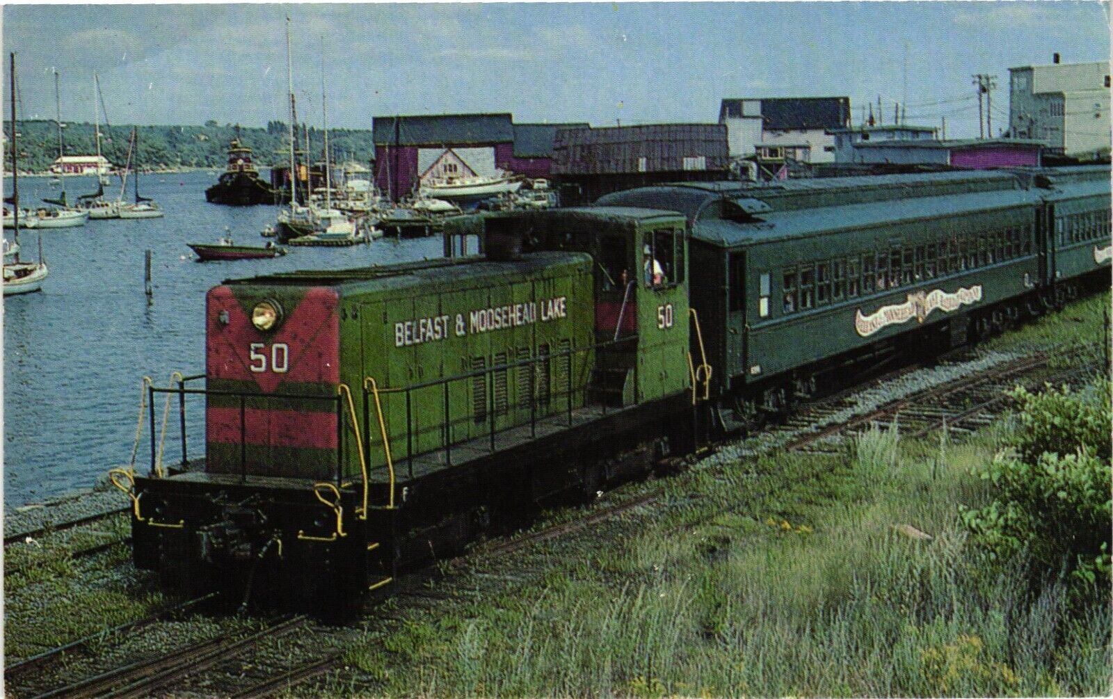 Belfast & Moosehead Lake 50 Locomotive Train Political Card Vintage Postcard