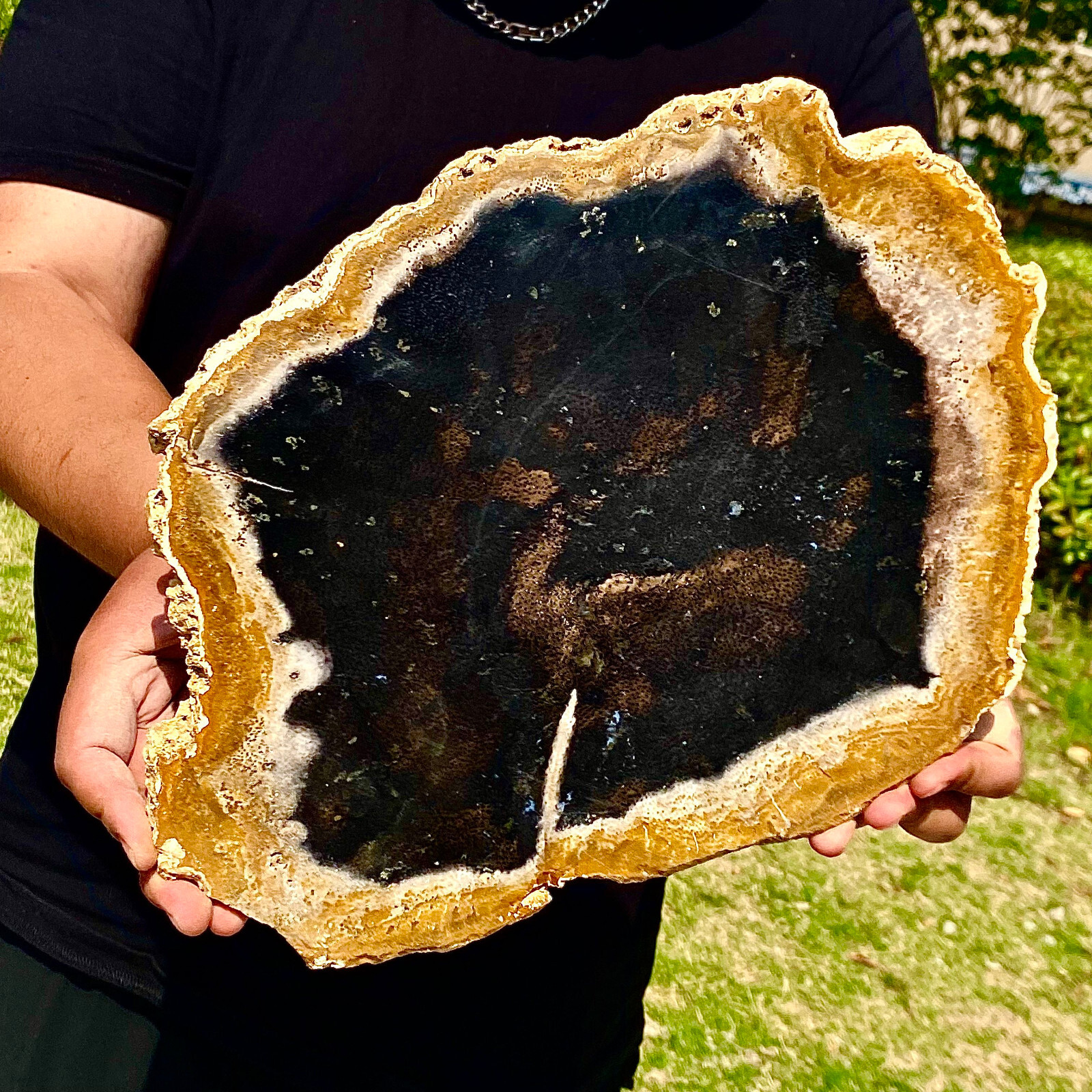 4.33LB Large Natural Petrified Wood Crystal Fossil Slice Shape Specimen Healing