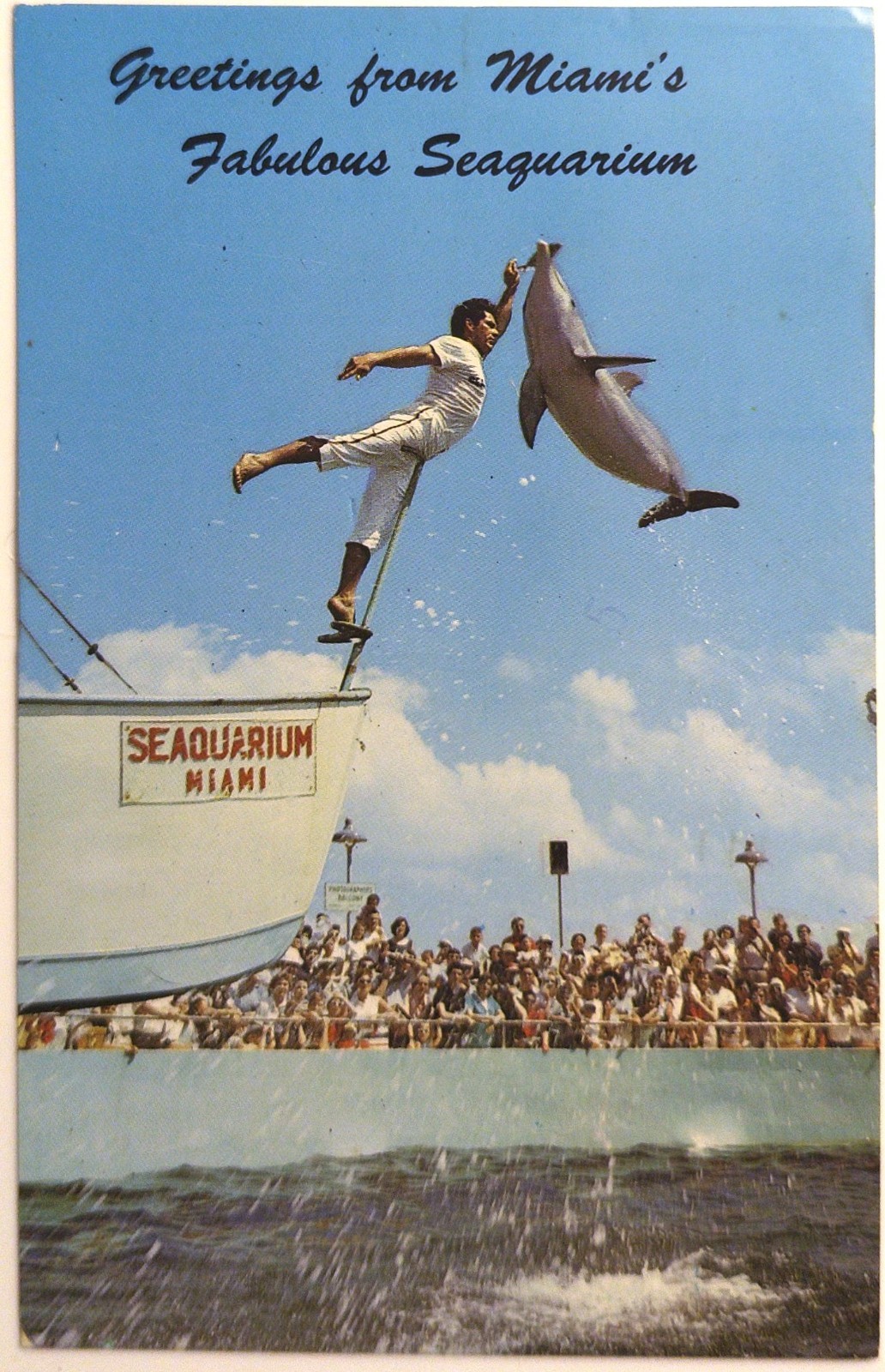 Miami, FL - Vintage Florida Seaquarium Chrome Postcard 1960s