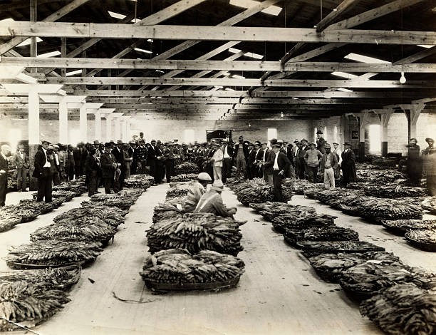 Group Of Men Standing In A Tobacco Warehouse In Virginia Historic Old Photo Group Of Men Standing In A Tobacco Warehouse In Virginia Historic Old Photo