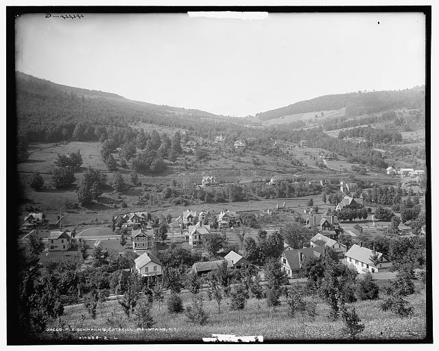 Fleischmann\'s, Catskill Mountains, New York c1900 OLD PHOTO
