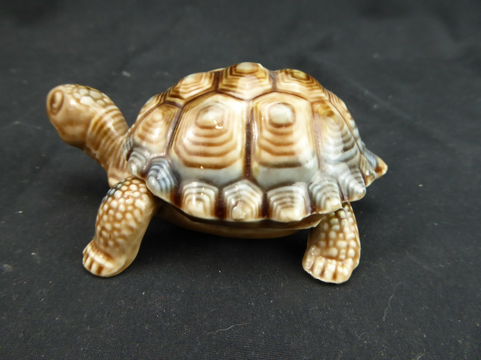 Wade Porcelain England Turtle Trinket Box