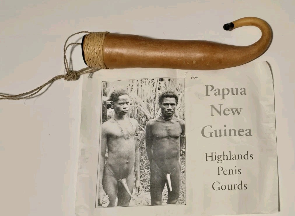 Vintage Papua New Guinea Highlands Koteka Penis Gourd Tribal Folk Art Souvenir