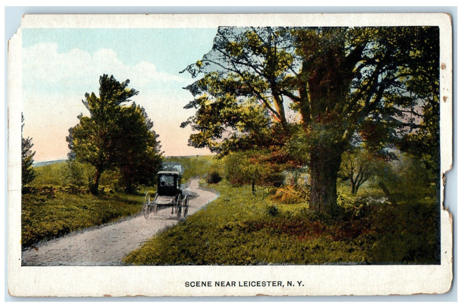 c1920's Scene Near Leicester New York NY Horse Carriage Tree Road Postcard