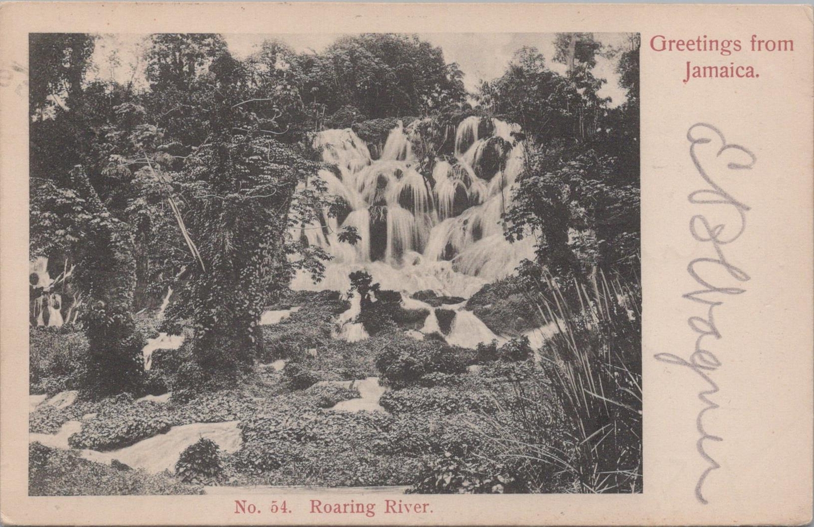 Postcard Greetings from Jamaica No 54 Roaring River 
