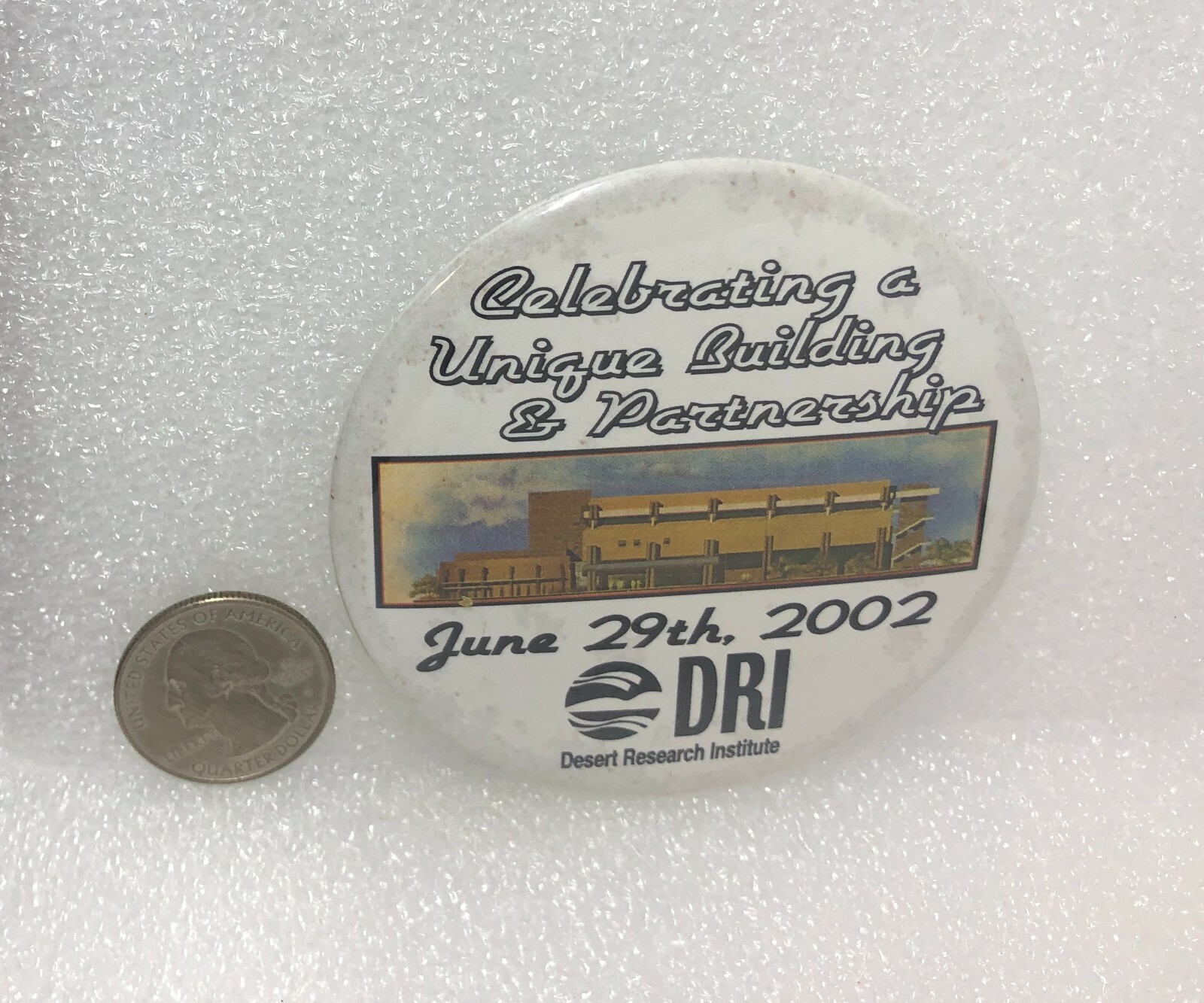 2002 DRI Desert Research Institute Pin