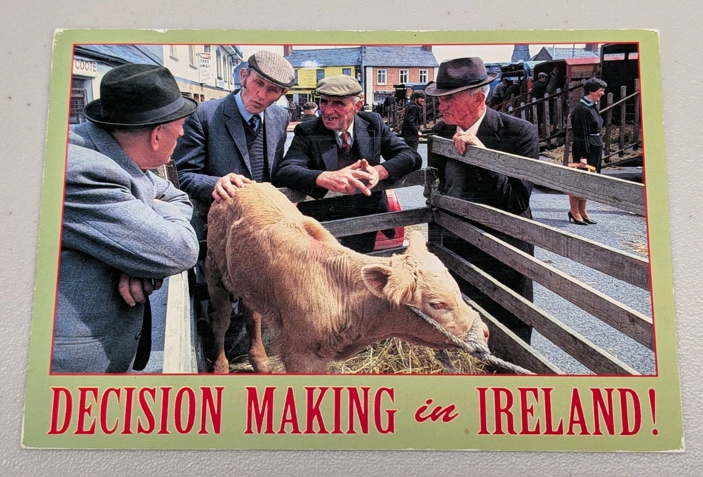Postcard Decision Making in Ireland Cattle Market Humor Posted