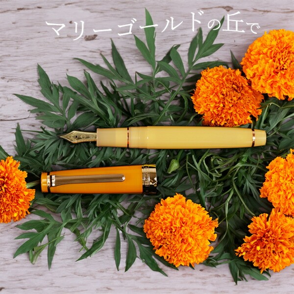 Sailor x Usagiya Limited ProGear Slim Fountain Pen Marigolds MF Limited Edition
