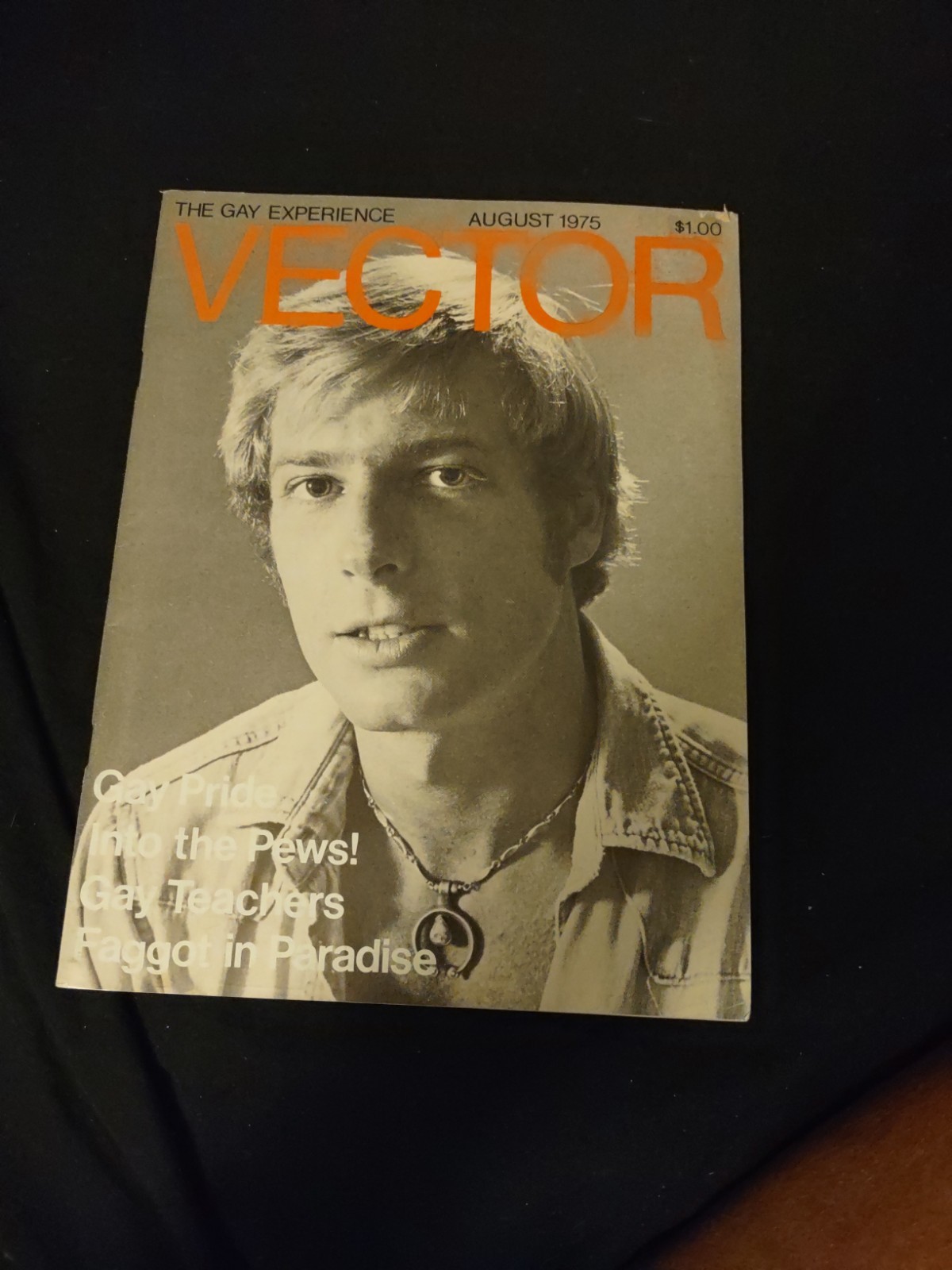 Rare Out Of Print, The Gay Experience Vector, Playgirl Like Gay Interest Aug...