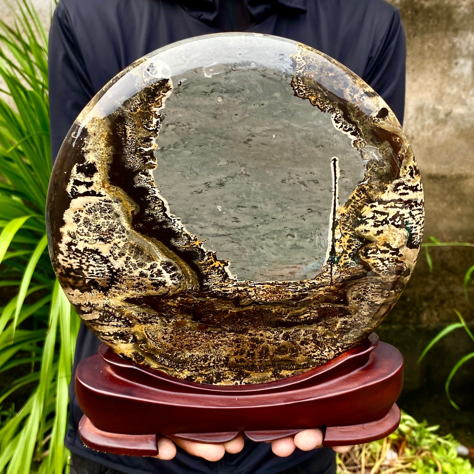 7.16LB Beautiful Natural Chinese Dendritic Limestone Picture Stone Guohua -Rare