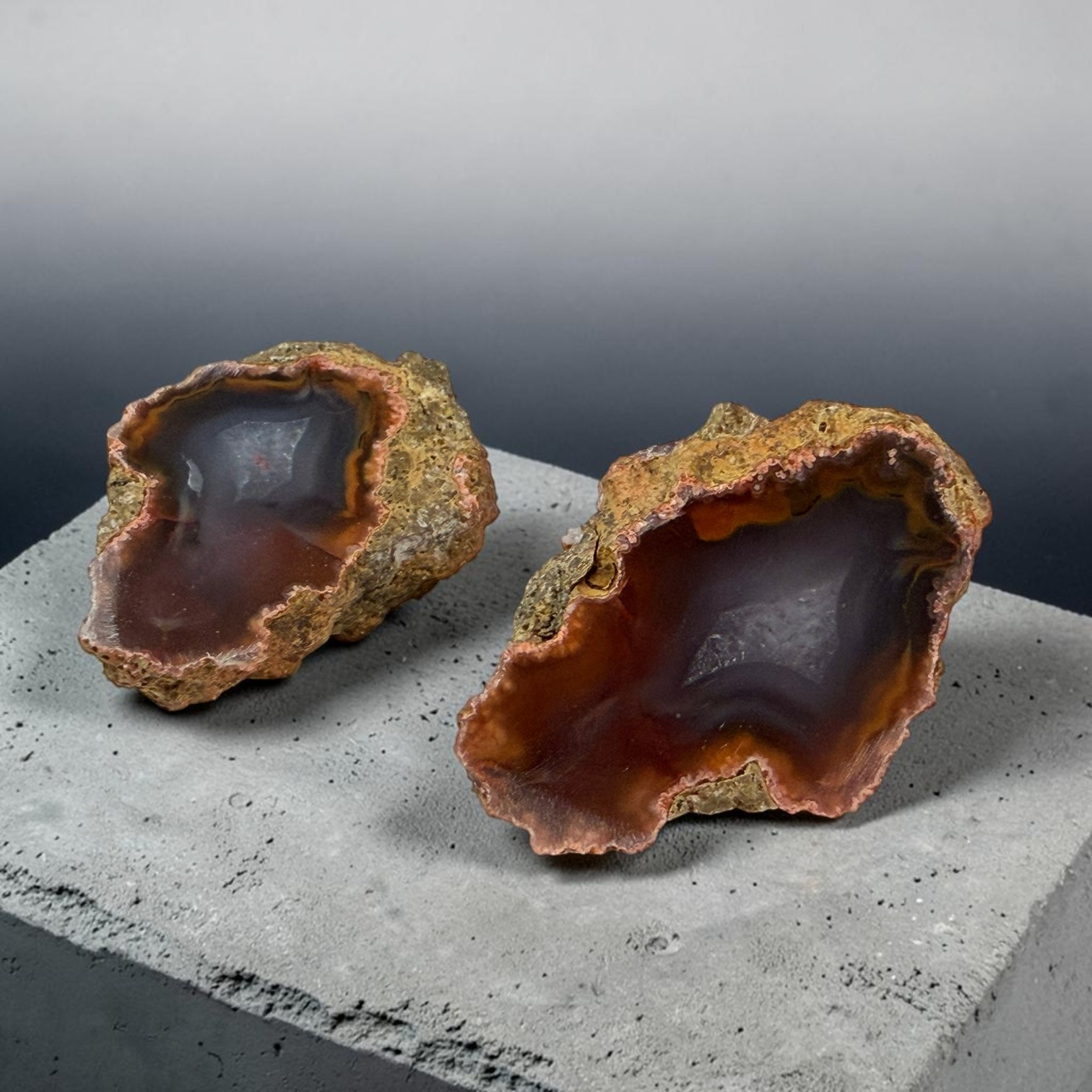 Polished Condor Agate Pair from Argentina