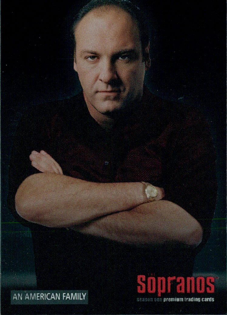 An American Family - 2005 Inkworks the Sopranos #22
