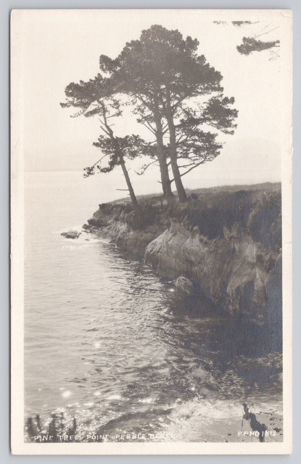 Vintage RPPC Pine Trees Point Pebble Beach California Coastal Landscape Postcard