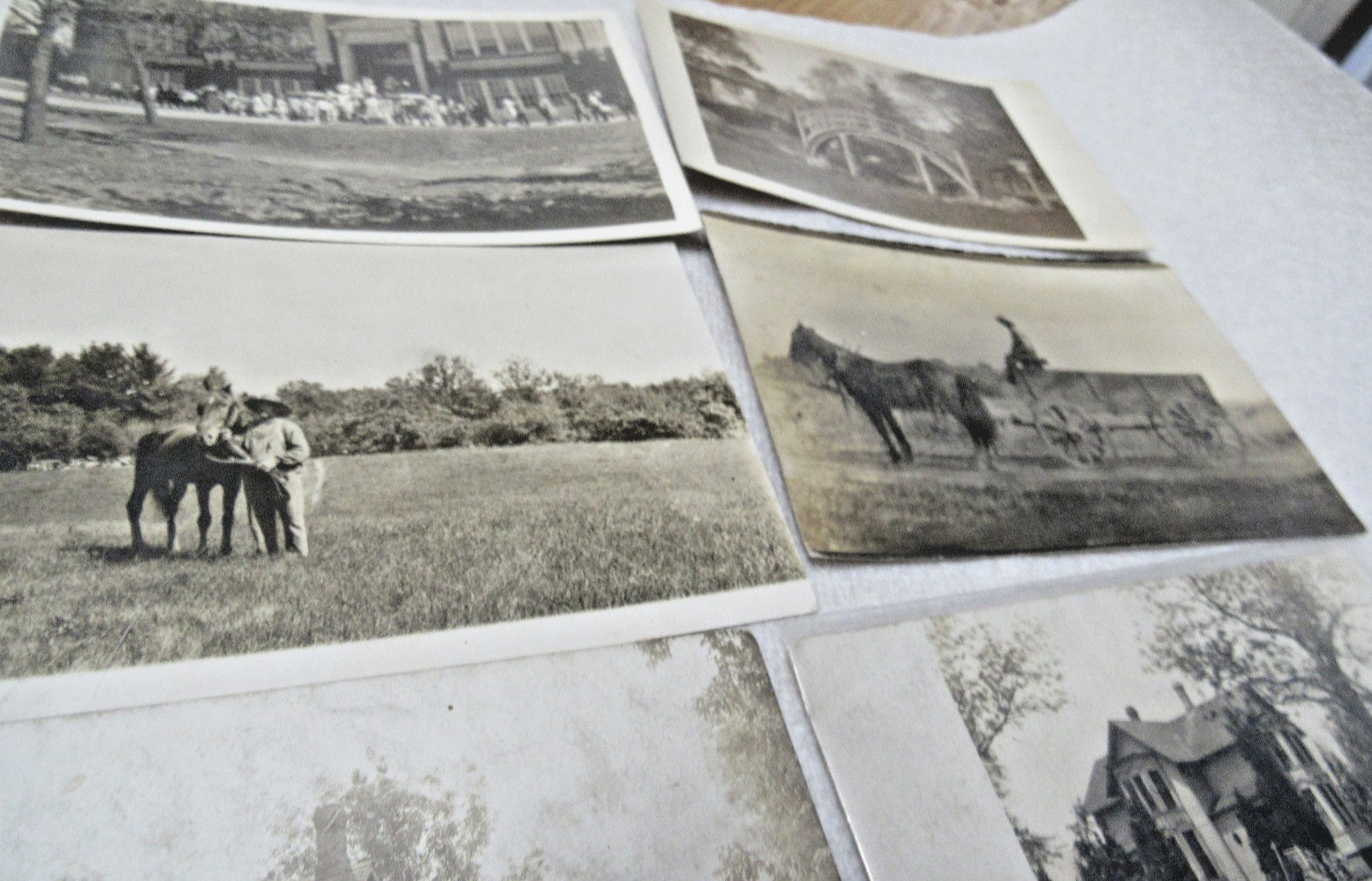 LOT OF  200+  EARLY REAL PHOTO POSTCARDS PEOPLE PLACES THINGS UNIDENTIFIED, RPPC
