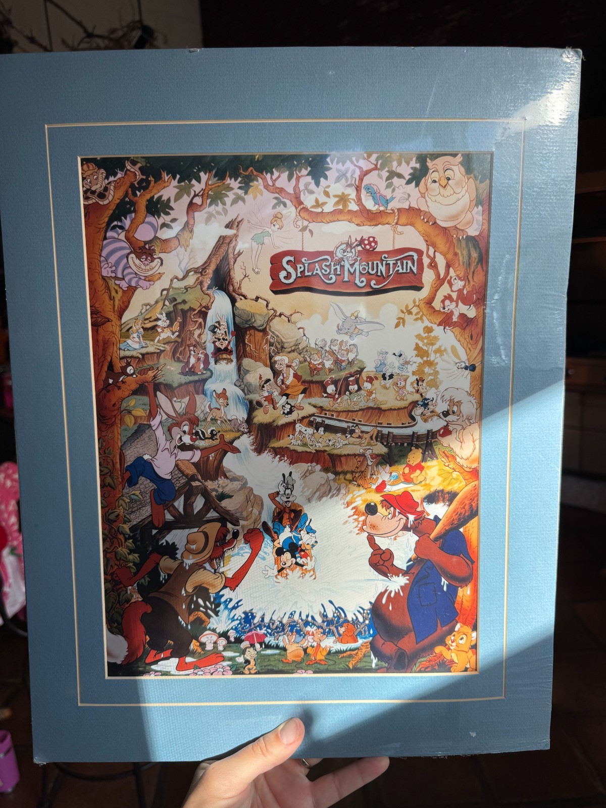 Ultra Rare Vintage 1989 Disneyland Splash Mountain Souvenir Poster