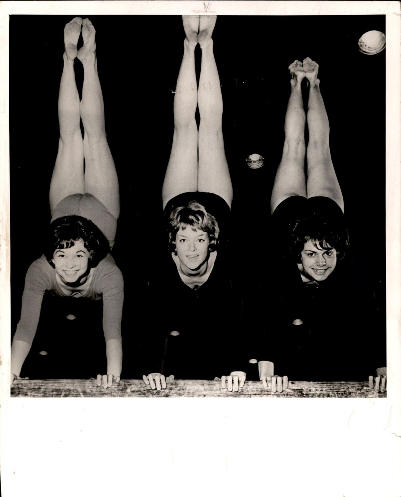LD349 1965 Original Photo SOUTHERN ILLINOIS GYMNASTICS TEAM @ CARLTON COLLEGE