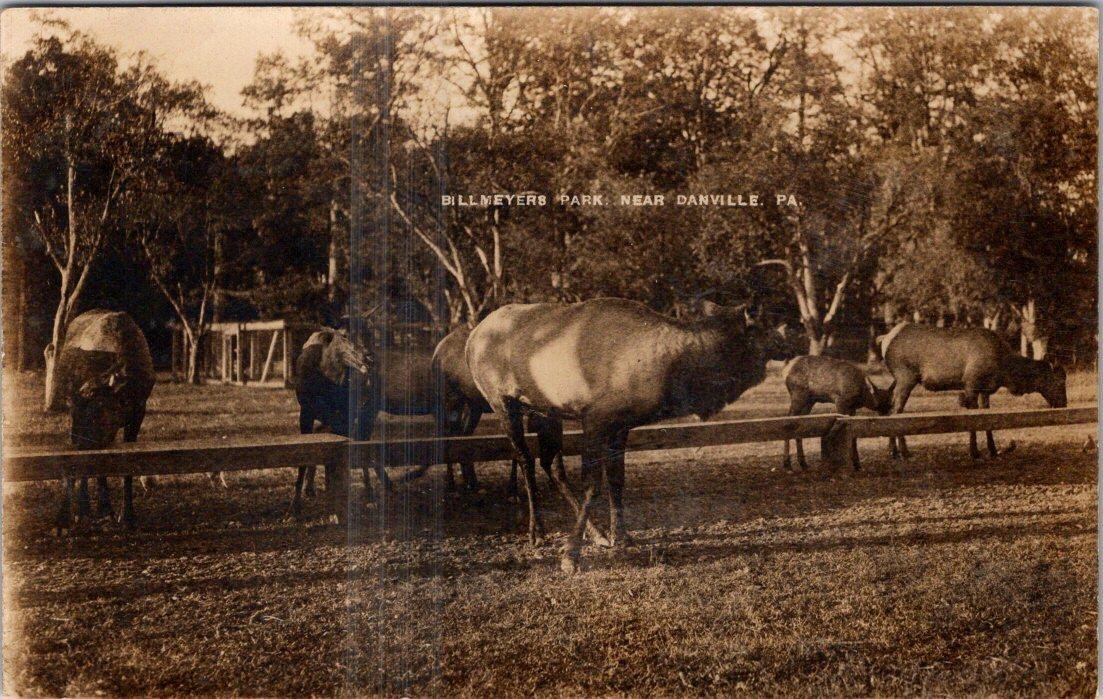 1912 RPPC BILL MEYERS PARK near DANVILLE PENNSYLVANIA PA REAL PHOTO POSTCARD